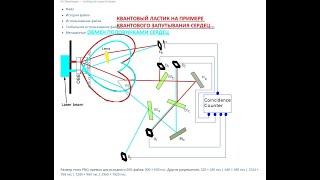 КВАНТОВЫЙ ЛАСТИК С ОТЛОЖЕННЫМ ВЫБОРОМ