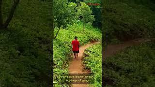 Keokradong Bandarban! অপূর্ব কেওক্রাডং! #shorts