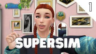 Meet Sasha - SuperSim Challenge | Part 1