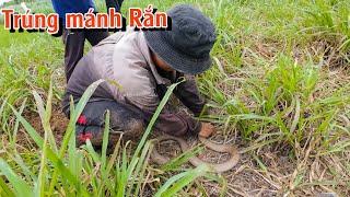 Kết quả mĩ mãn cho một chuyến đi săn Rắn | TGSB #925