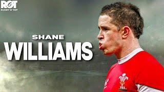 Shane Williams | Ultimate Tribute