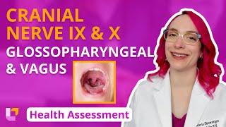 Cranial Nerve IX & X: Glossopharyngeal & Vagus - Health Assessment for Nursing | @LevelUpRN