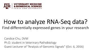 How to analyze RNA-Seq data? Find differentially expressed genes in your research.