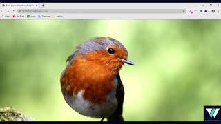Create Full-Screen Slider Image Zoom-Out Effect (Image Scale Animation) in 5 Minutes | HTML and CSS