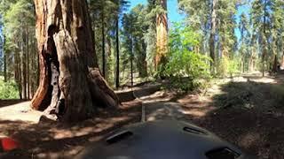 On The Trail VR/360°: McKinley Grove Trail