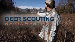 In the Field & Stream: Deer Scouting