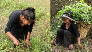 beautiful village girl cutting grass for livestock food vlog जंगल मे लड्की घास लेने