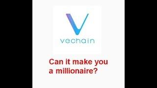 VeChain(VET) make you a millionaire? How much do you need?