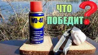 Опустил под воду WD-40 и ЧЕСНОК. Реакция рыбы. Подводная съёмка.