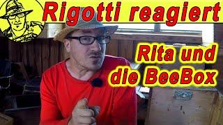 Rigottis Reaktion auf das EasyBeeBox-Video mit Rita und Jan