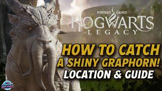 Hogwarts Legacy - How To Catch the RAREST BEAST In The Game!! - How to Catch a SHINY GRAPHORN!!