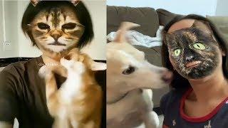 Dogs and Cats Hilarious Reaction When They See Cat Filter On Owners' Faces  Funny Animals Video