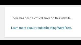 How to fix "There has been a critical error on this website." error on WordPress. Easy Pro secret!