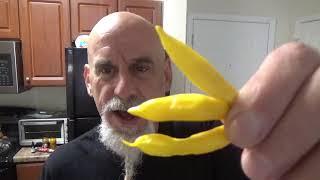 POD REVIEW...Aji Lemon Drop...grown by Mark Uziel...an amazing tasting pepper you all need to try!