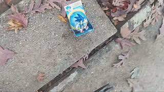 Destroying A Modern Sonic Figure