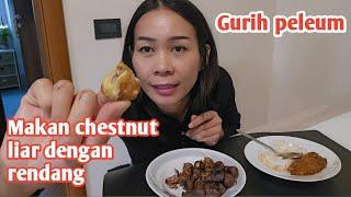 HMM GURILEM MASAK CHESNUT LIAR DIMAKAN DENGAN RENDANG