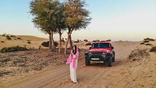 Umm Al Quwain Desert | United Arab Emirates