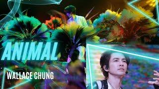 -ANIMAL-                                                       Zhong Hanliang/Wallace Chung