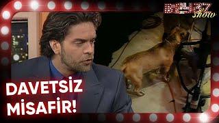 Stüdyoda Patili Konuk! - Beyaz Show