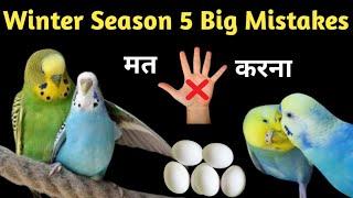 Wniter Season 5 Big Mistakes Jisse Budgies Parrot Breed Nahi Karte | अंडै बच्चै चाहिए तो ये मत करना