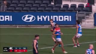 Lachie Plowman - VFL Round 21 Highlights