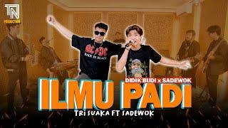 ILMU PADI (Didik Budi ft Sadewok ) - TRI SUAKA FT SADEWOK| LIVE STUDIO