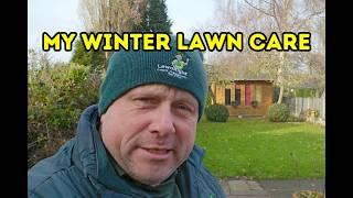 keeping the lawn healthy and green over winter