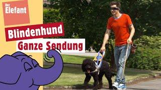 Wie arbeitet ein Blindenhund? | Der Elefant | WDR