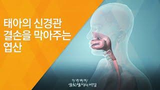 태아의 신경관 결손을 막아주는 엽산 - (2017.4.12_618회 방송)_영양제, 잘 드시고 계십니까