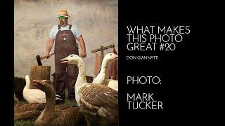 WHAT MAKES THIS PHOTO GREAT #20, MARK TUCKER