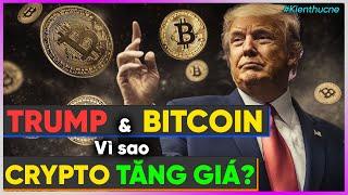 TRUMP & BITCOIN: Vì sao CRYPTO tăng giá?  [Dưa Leo DBTT]