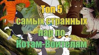 Топ 5 самых СТРАННЫХ пар по Котам-Воителям