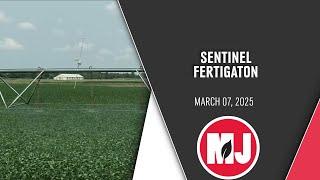 Sentinel Fertigation | Nitrogen Management | March 07, 2025