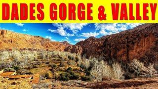 Dades Gorge Travel Guide Morocco 2020 | Top 7 Reasons To Visit