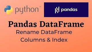 How to Rename Column Name and Index Name in Pandas DataFrame