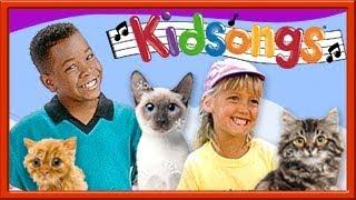 Kidsongs | We Love Cats | Kid song Pussy Cat Pussy Cat | Cat Song | The Wanderer | Kids |PBS Kids