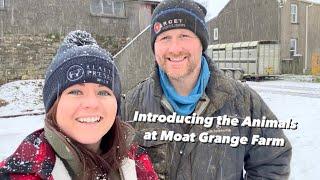 INTRODUCING THE ANIMALS on a WELSH DAIRY FARM