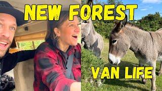 24hrs In The New Forest | Travel Itinerary Guide | Van Life UK