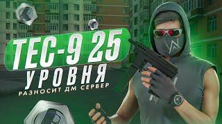 TEC-9 МАКСИМАЛЬНОГО УРОВНЯ, ВЫ НЕ ПОВЕРИТЕ, НО ОН.. NEXT RP