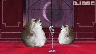 Ghost Duet - Dog Version