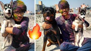 After Holi . Its bath time || Dog Can talk part 21 || Dog Care Products. Rottweiler vs Husky ||