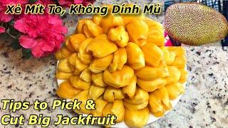 Xẻ Mít To, Không Bị Dính Mủ, và Cách Chọn Mít Ngon _ How To Pick A Great Jackfruit, Tips to Cut Up