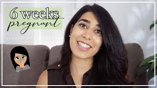 6 Weeks Pregnant | Early Pregnancy Symptoms, Morning Sickness