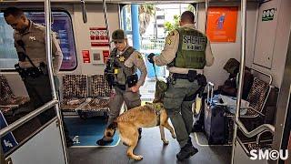 Sheriff's Deputies and K9 Units Sweep Santa Monica Metro for Explosives and Safety