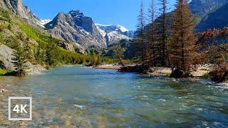 4K Gentle Mountain River in Montana Backcountry | Water Sounds White Noise | Sleep and Relaxation