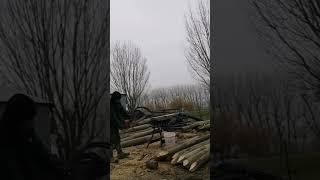 making wood post for fencing | #dairyfarmernz #newzealandlife #pinoynz