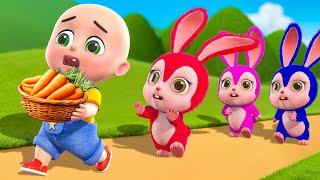 Baby Bunnies Chasing Baby Bobo for Carrot Song New Compilation | Baby Cartoon & Kids Songs Baby Bobo