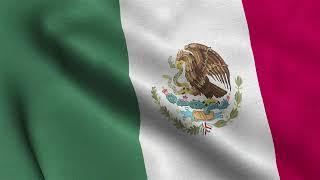 Mexico Waving Flag Animation Loop | Stock Footage | Free Background