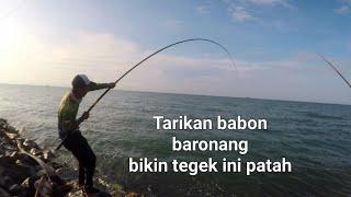 Tegek Rabbit Patah Karena Mencoba Mengangkat Baronang Babon #GarongerBalikpapan #rabbitfishfishing