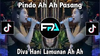 PINDO AH AH PASANG | LAMUNAN AH AH VIRAL TIKTOK 2024 !